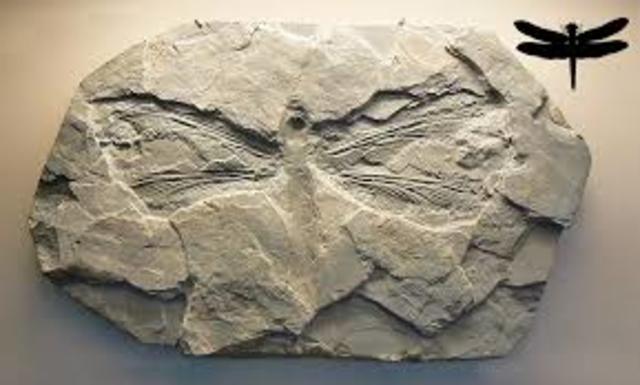 Punta Alta, Argentina