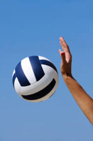 The volleyball