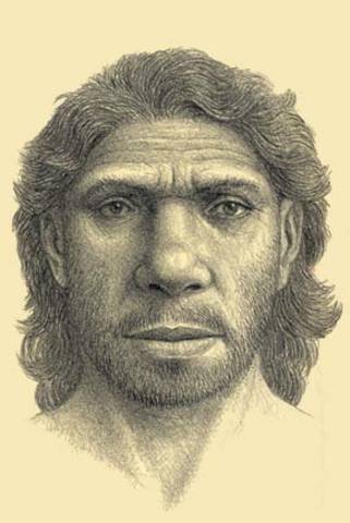 Homo Antecesor
