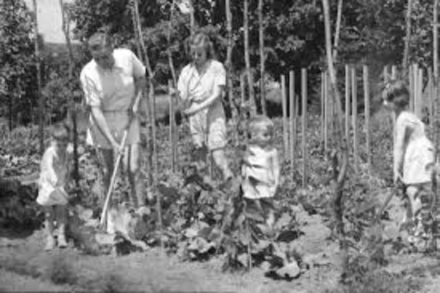 Victory Gardens