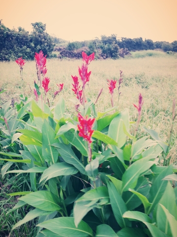 Mudanza a un pueblito