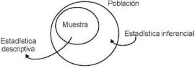 División de la Estadística