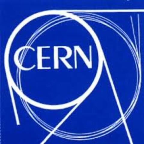 El CERN abre su primera conexión TCP/IP externa.