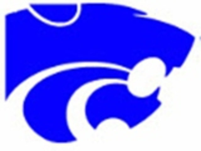 Experience throughout Mesquite softmore junior senior year