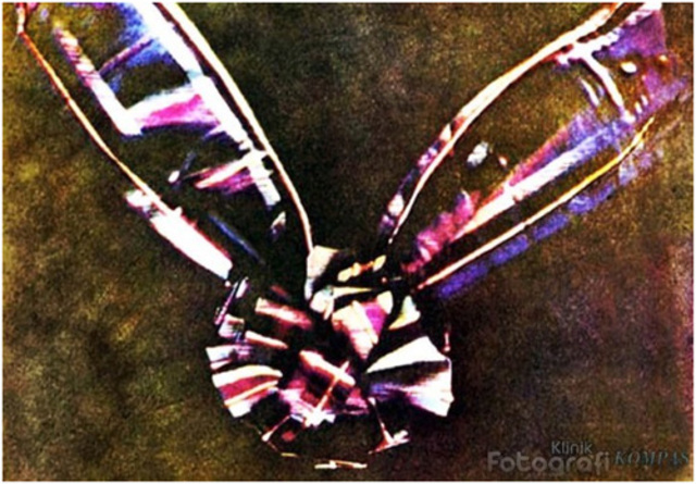 The first permanent color photo was take