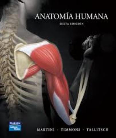 ANATOMIA HUMANA