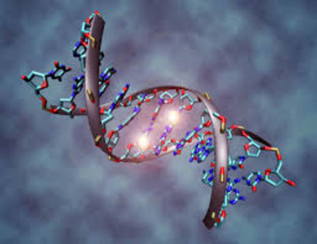 DESARROLLO DE LA GENETICA