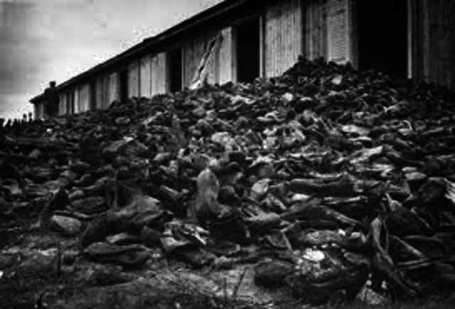 Discovery of Majdanek