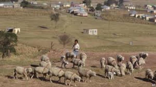 Birth of Nelson Mandela