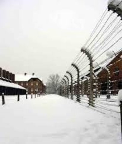 surviving the cold winter