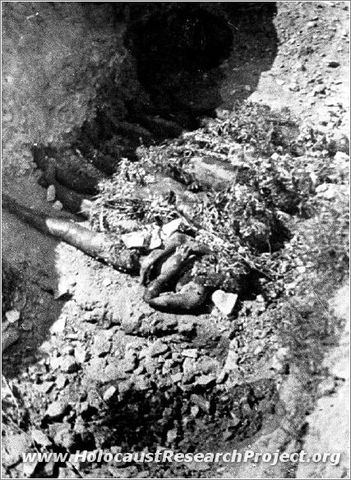 Discovery of Majdanek