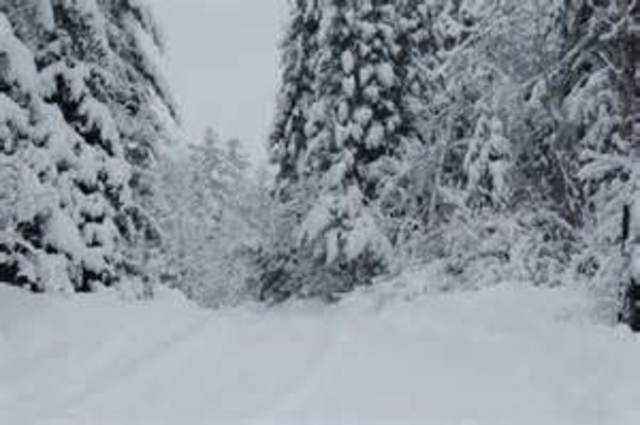 Elie marches to the next camp