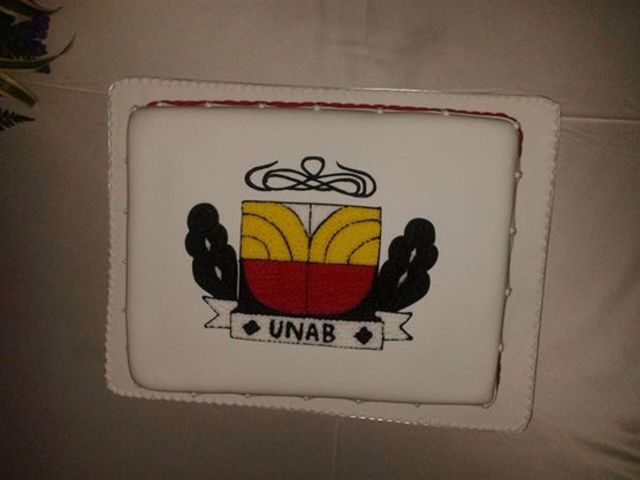 CREACIÒN PROGRAMA ANESTESIOLOGÌA UNAB