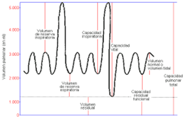 CAPACIDAD VITAL PULMONAR