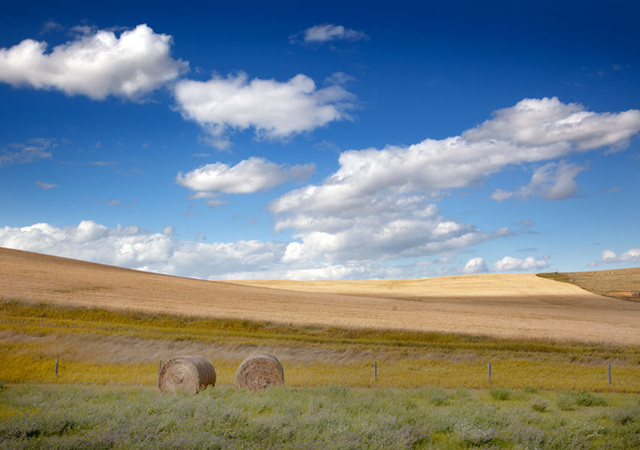 Pastoral Life as Utopia