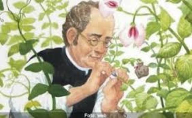 Gregor Mendel