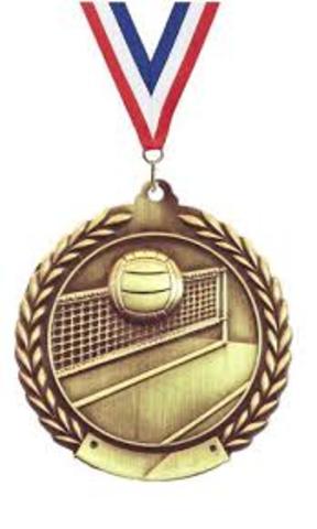 FIVB 2006