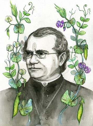 Gregor Mendel