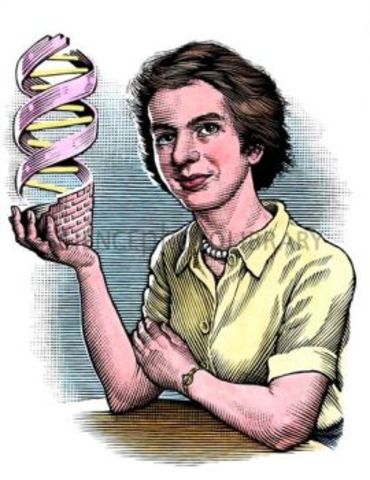 Rosalind Franklin