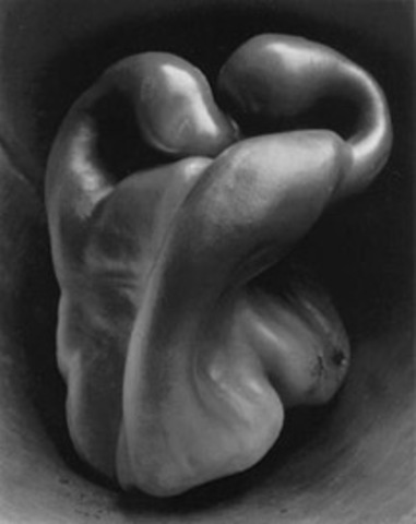 Edward Weston continued to explore natural forms, landscapes, nudes and people.