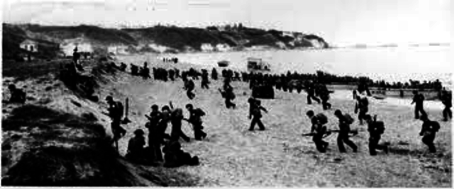 Operation Torch