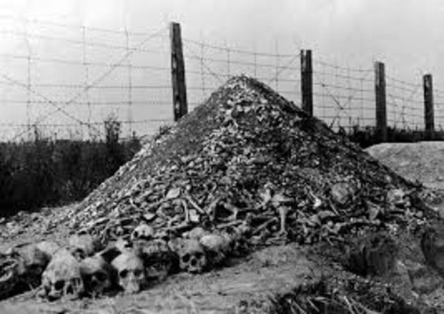 Discovery of Majdanek