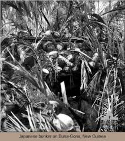 Island Hopping (date for Buna-Gona Campaign)