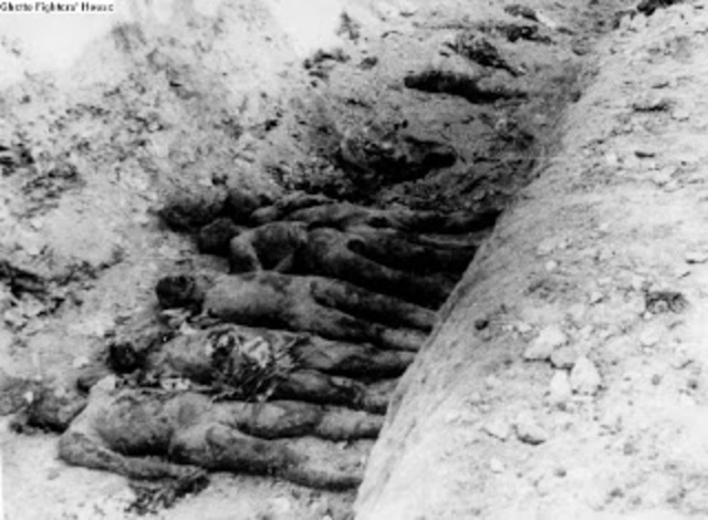 Discovery of Majdanek