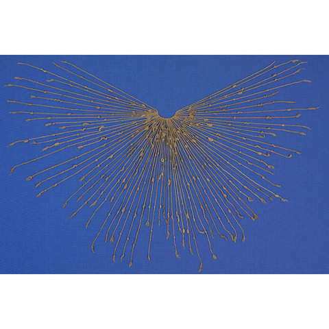 Qiupu: 15th - 16th Century