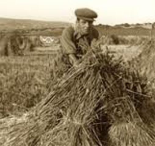 Commodity Prices Plunge.