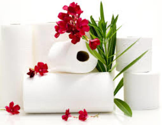 Бумажное полотенце