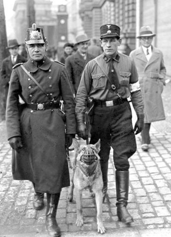 Nazi's reach a political majority in Germany