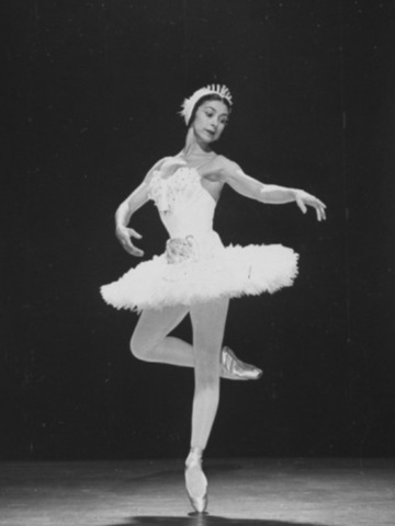 Performed principle roles