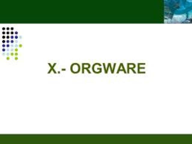 Se introduce termino Orgware