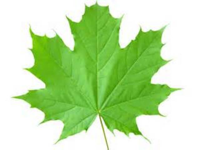 National Park Service Act