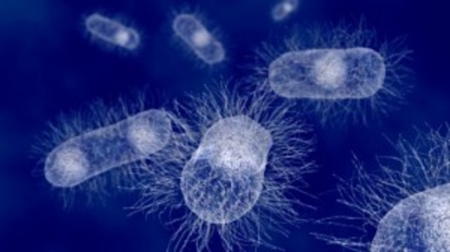 Nueva tela antibacterial mata bacterias en 10 minutos