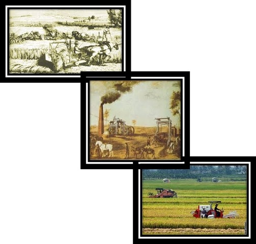 ¡Y todo cambió en la agricultura! (Revolución agrícola)