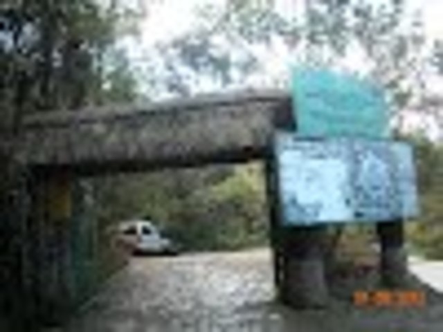 MARIO DARY RIVERA 1977-1978