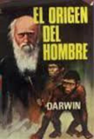El origen del hombre