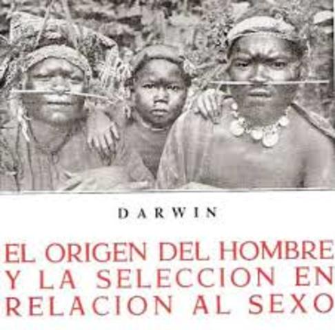 La descendencia humana y la selección sexual