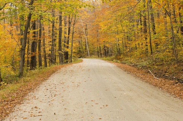 Green Mountain National Forest