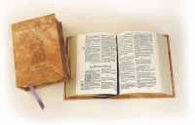 La primera version de la biblia 393 D.C