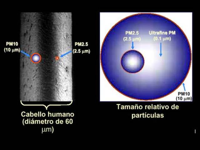MATERIAL PARTICULADO SIGLO I