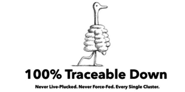 100% Traceable Down