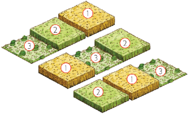 La Rotación del Cultivos