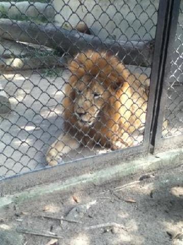 Primer dia por la tarde