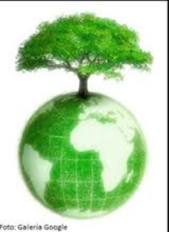 Instituto Nacional de los Recursos Naturales Renovables y del Ambiente