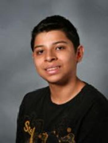 Creating this Timeline