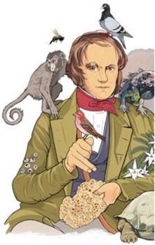 Partida de Darwin en el viaje de Beagle.