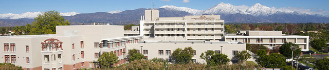 I Came Into This World